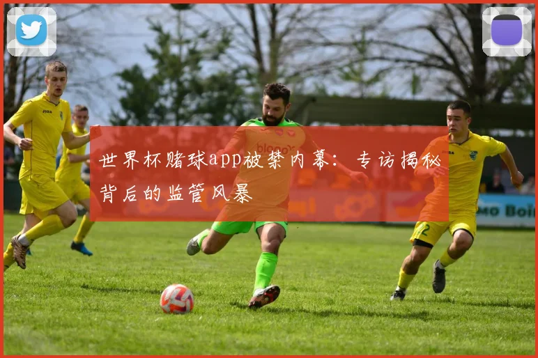 世界杯赌球app被禁内幕:专访揭秘背后的监管风暴