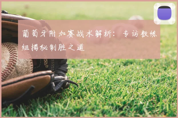 葡萄牙附加赛战术解析:专访教练组揭秘制胜之道