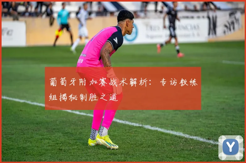 葡萄牙附加赛战术解析:专访教练组揭秘制胜之道