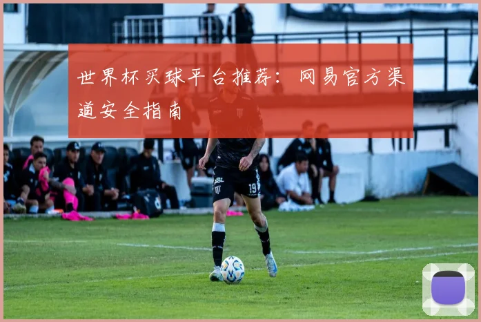 世界杯买球平台推荐:网易官方渠道安全指南