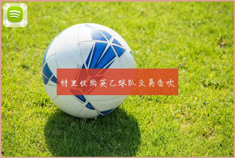 特里收购英乙球队交易告吹