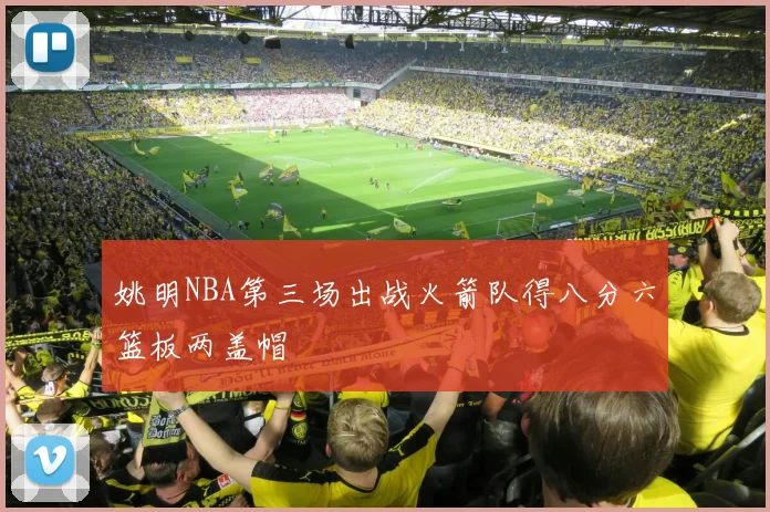 姚明NBA第三场出战火箭队得八分六篮板两盖帽