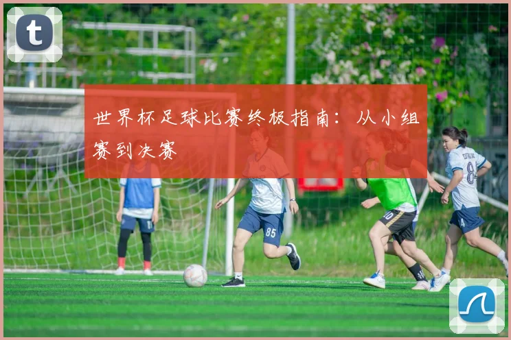 世界杯足球比赛终极指南:从小组赛到决赛