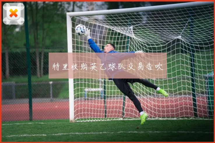 特里收购英乙球队交易告吹