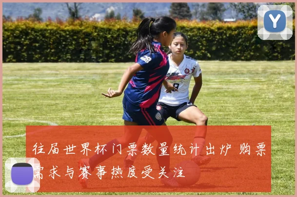 往届世界杯门票数量统计出炉 购票需求与赛事热度受关注